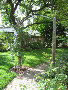 Rainer-M-Koehler / Gartenaccessoirs-Rankhilfen